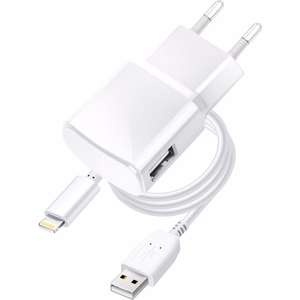 BLUE STAR kelioninis įkroviklis 1A 5W USB-A + kabelis USB-A į Micro USB TFK-TC-1100B baltas