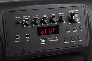 Aktyvi garso kolonėlė su 2 belaidžiais UHF mikrofonais, SD, Bluetooth, FM, USB, 60 W