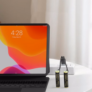 Orico Ener-G EG7C lithium battery 1.5V 500mWh AAA USB-C rechargeable battery 4 pcs.