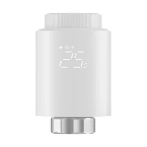 Termostatinės galvutės