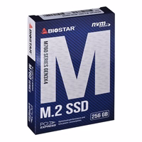 SSD Biostar M760 256GB