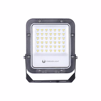 Floodlight LED PROXIM+ 30W 4000K 4500lm 230V IP65 Forever Light 150lm/W 5 years warranty