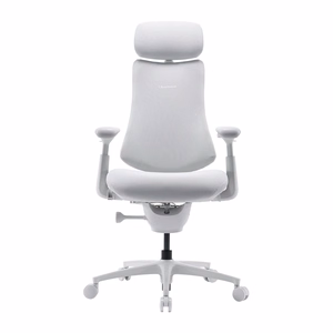 LiberNovo Omni Pro 45 cm Ergonomic Chair (White)