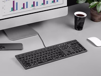 A4Tech FSTYLER FX60H (White Backlit) klaviatūra USB QWERTY Juoda, Pilka