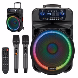 60 W aktyvioji kolonėlė su 2 belaidžiais UHF mikrofonais, SD, Bluetooth, FM, USB ir LED