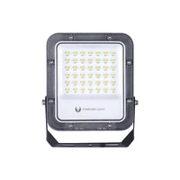 Floodlight LED PROXIM+ 30W 6500K 4500lm 230V IP65 Forever Light 150lm/W 5 years warranty