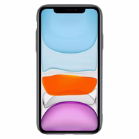 Tel Protect magnetinis Elipse dėklas telefonui iPhone 11 pilkas