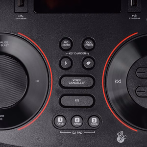 Poweraudio LG RNC9 speaker