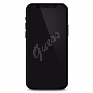 Guess apsauginis stiklas GUSPP12SSLTR iPhone 12 mini 5.4" Vintage Magic Logo