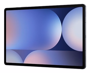 Samsung S10+ 5G 256 GB 31.5 cm (12.4") 12 GB Android 14 серый