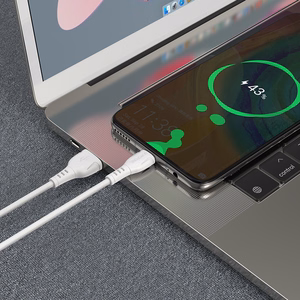 Borofone laidas BX51 Triumph USB į Type C 3A 1 metras baltas