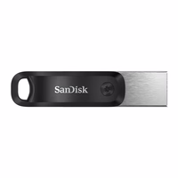 SanDisk SDIX60N-256G-GN6NE USB atmintukas 256 GB 3.2 Gen 1 (3.1 Gen 1) Pilka, Sidabras
