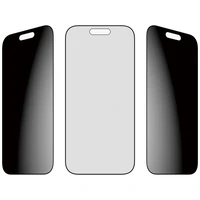 PanzerGlass Ultra-Wide Fit EasyAligner privatumo stiklas iPhone 17 / 16 Pro