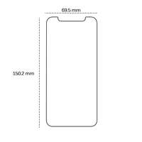 Apsauginis stiklas 2,5D iPhone XS Max / 11 Pro Max