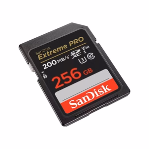 SDXC atminties kortelė SANDISK 256GB UHS-I SDSDXXD-256G-GN4IN