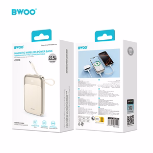 BWOO PD 20W 10000 mAh Išorinė baterija With Usb-c Laidas and Ekranas P80 auksinis