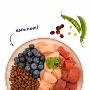 BOSCH Sanabelle Adult Ostrich & Blueberries - sausas kačių maistas - 2kg