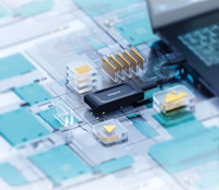 Kingston Technology XS1000 2 TB C tipo USB 3.2 Gen 2 (3.1 Gen 2) Juoda