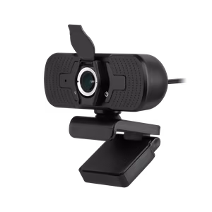 Rebel webcam