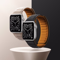 Magnetinė apyrankė Apple Watch 41mm - mėlyna