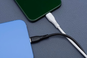 BLUE STAR ECO kabelis 2,4A USB A į Lightning PJ68-24-2.4 1m baltas