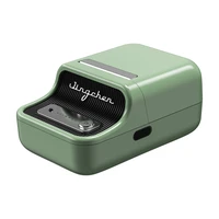 Niimbot B21 Pro Portable Label Printer (žalias)