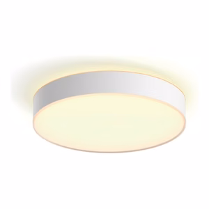Philips Hue Enrave L ceiling lamp white 33.5 W White Ambiance 2200-6500 Bluetooth