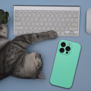 Silikoninis 2mm dėklas telefonui IPHONE 17 Pro, suderinamas su Magnetine MagSafe funkcija, mėtų spalvos