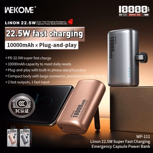 Išorinė baterija WK Design „WP-111“ pilka 10000mAh (22.5W)