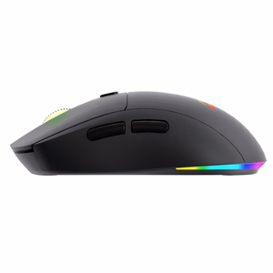 Belaidė 2-in-1 pelė (BT/RF) TYLIOJI IR ĮKRAUNAMA MT1124