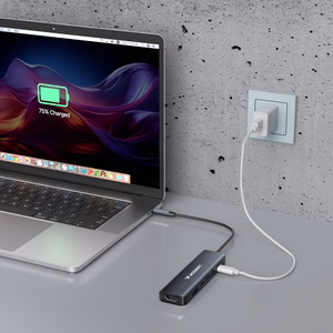 Wozinsky WHBC10Y4S 6-in-1 USB-C šakotuvas, aliuminio, 25 cm kabelis, pilkas