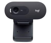 Logitech 960-001372 internetinė kamera 1280 x 720 pikseliai USB Grafitas