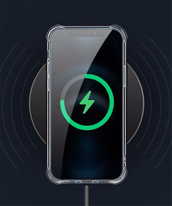 TEL PROTECT Magnetinis silikoninis dėklas Iphone 12 Pro skaidrus