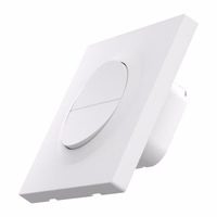 SONOFF MINI-ZB2GSL-E ZigBee dviejų kanalų sieninis jungiklis be neutralaus