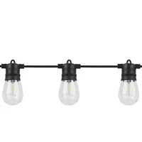 Forever Light LED Solar Garland SUNARI FLS-60 7,5m 10 bulbs IP44