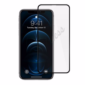 Guess apsauginis stiklas GUSPP12SSLTR iPhone 12 mini 5.4" Vintage Magic Logo