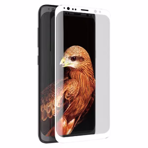 Защитное стекло X-Doria Armour 3D Glass 9H для Samsung Galaxy S8+, с белой рамкой