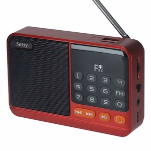Setty mini FM radio + Bluetooth garsiakalbis SFM-01M