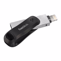 SanDisk SDIX60N-256G-GN6NE USB atmintukas 256 GB 3.2 Gen 1 (3.1 Gen 1) Pilka, Sidabras