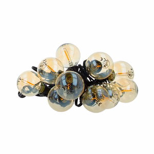 LED Bulb FL-2B E12 G40 0.5W 3V 24lm auksinis Forever Light 6pcs