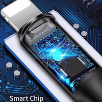 USAMS pintas laidas U5 2A lightningraudonas 1,2m SJ220IP02 (US-SJ220)