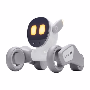 Loona Premium interaktyvus robotas