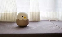 Night lamp BD-NL-01 Chicken