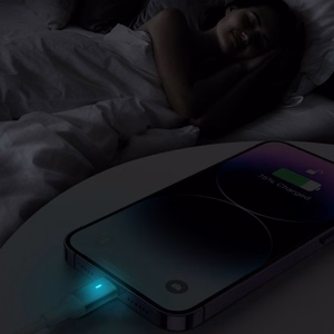 USB laidas Joyroom S-CL020A10 baltas Type-C / Lightning 120cm (iki 20W)