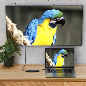 Wozinsky WHBC10Y4S 6-in-1 USB-C šakotuvas, aliuminio, 25 cm kabelis, pilkas