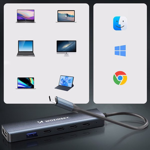 Wozinsky WHBC10Y4S 6-in-1 USB-C šakotuvas, aliuminio, 25 cm kabelis, pilkas