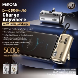Išorinė baterija WK Design „WP-19“ titano 5000mAh (22.5W)