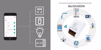 TUYA išmanusis 1 kanalo jungiklis, Wi-Fi, 30A, AC 100-240V, 6600W