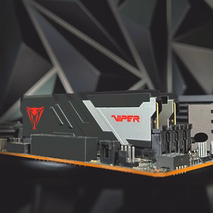 Patriot Viper Venom AMD DDR5 operatyvioji atmintis, 32 GB (2 × 16 GB), 6000 MHz, CL28, EXPO, VV532G60C28AK