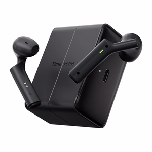 TimeKettle W4 Plus TWS Translation Earbuds (Black)